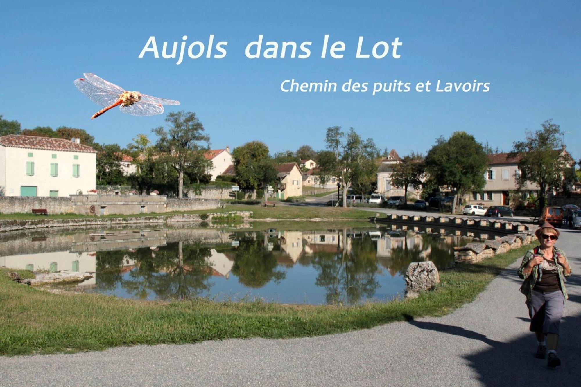 La Longere Du Moulin Villa Laburgade Exterior foto